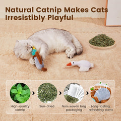 Potaroma Juguetes para gatos con hierba gatera y planta de plata para estimulación.