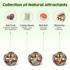 Potaroma palitos Matatabi para estimular masticación saludable y entretenimiento