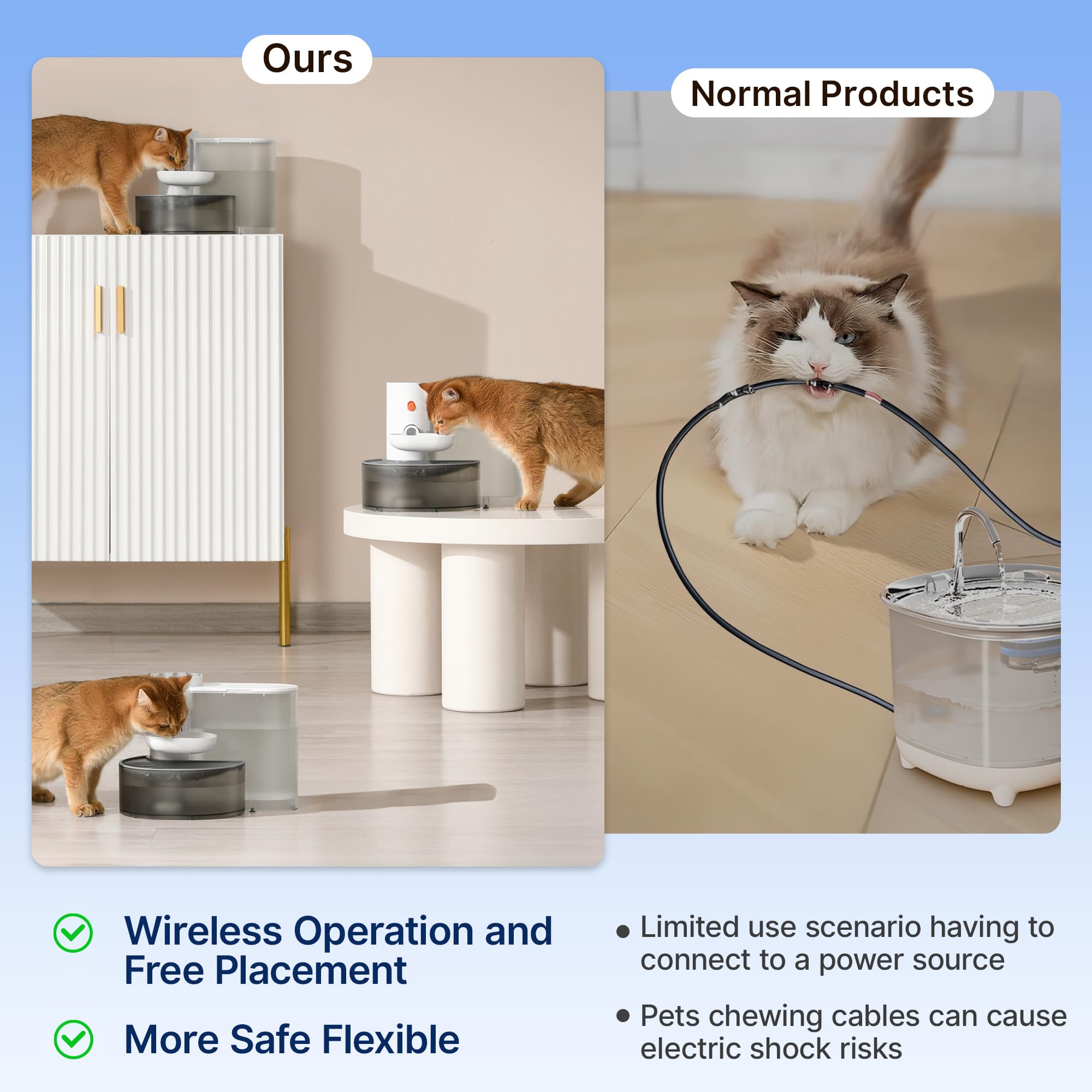 Potaroma opción ideal para gatos y perros pequeños.