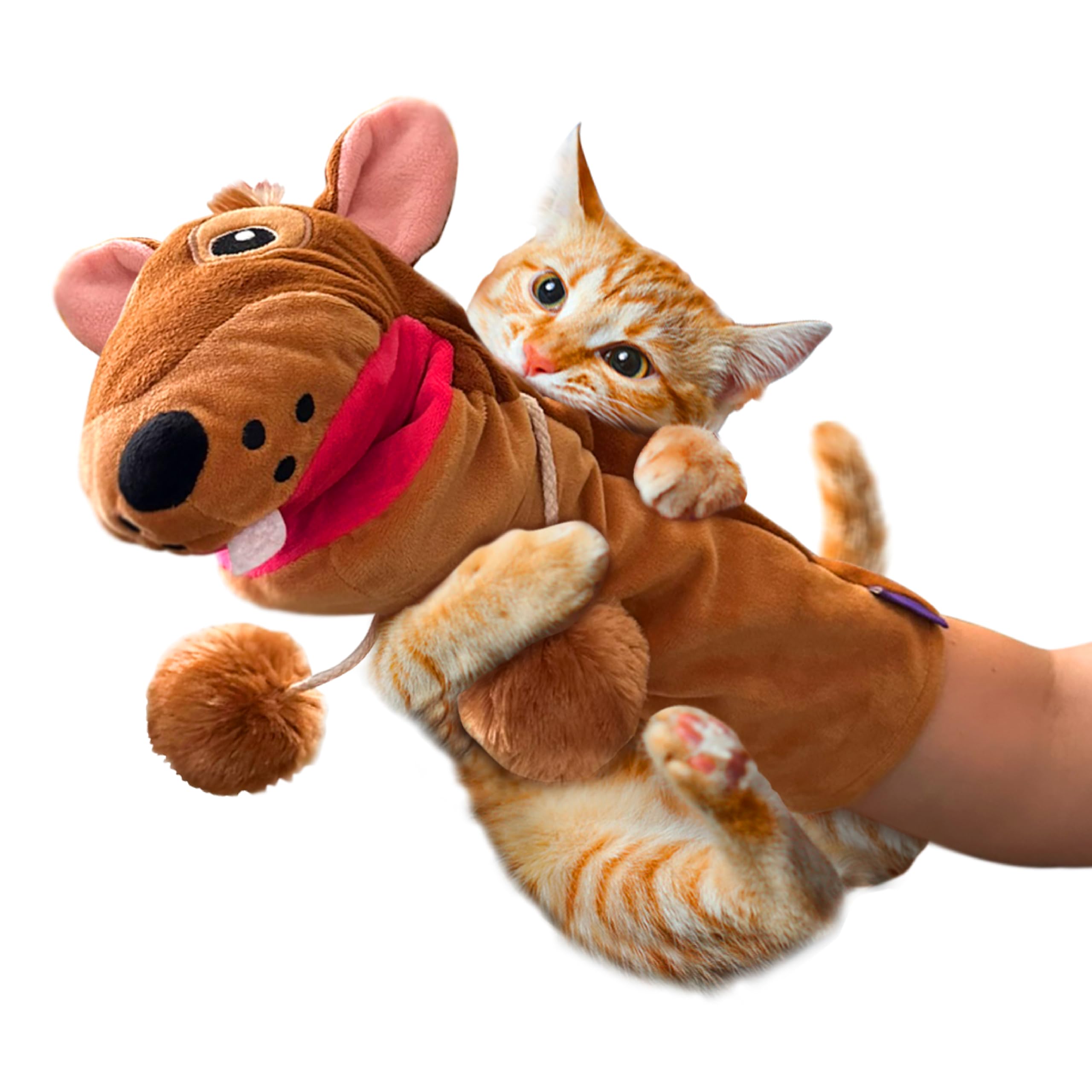 Pounce & Purr Juego de vinculación para gatos y gatitos.