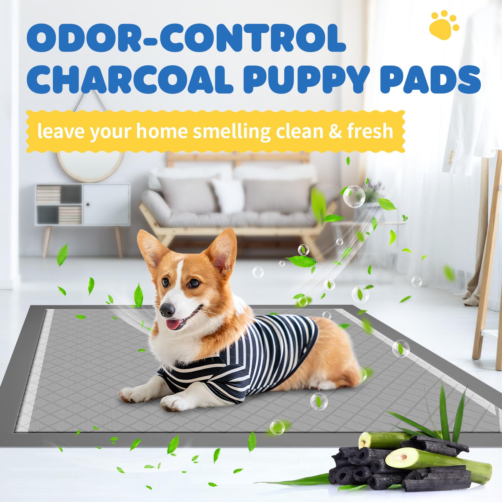 Powools aptas para todas las edades de perros y otros animales.