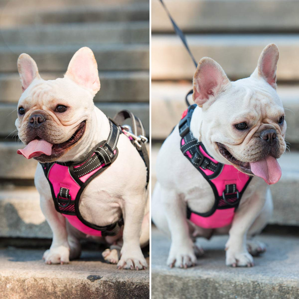 Arnés PoyPet ligero y duradero rosa para perros medianos.