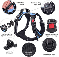 PoyPet arnés ajustable en 4 posiciones para un ajuste personalizado.