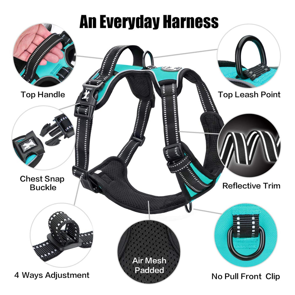 Arnés PoyPet con 4 correas ajustables para ajuste personalizado