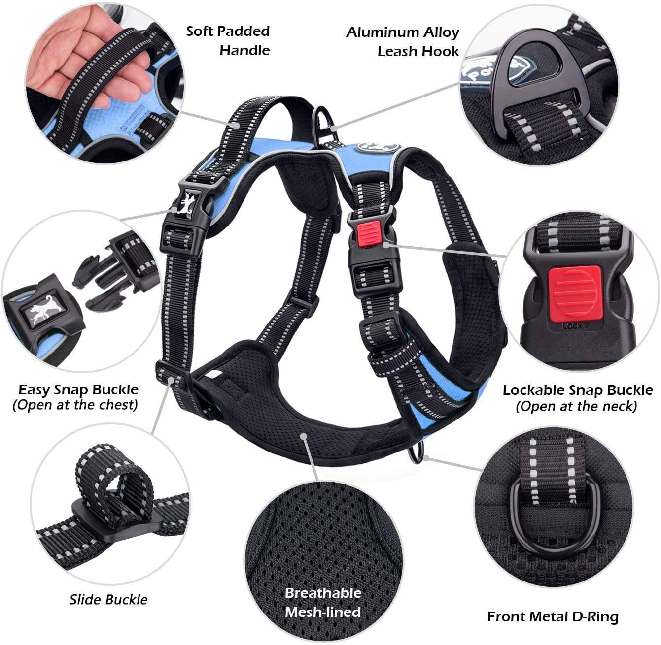 Asa de control ergonómica para dirigir al perro con seguridad en azul claro.