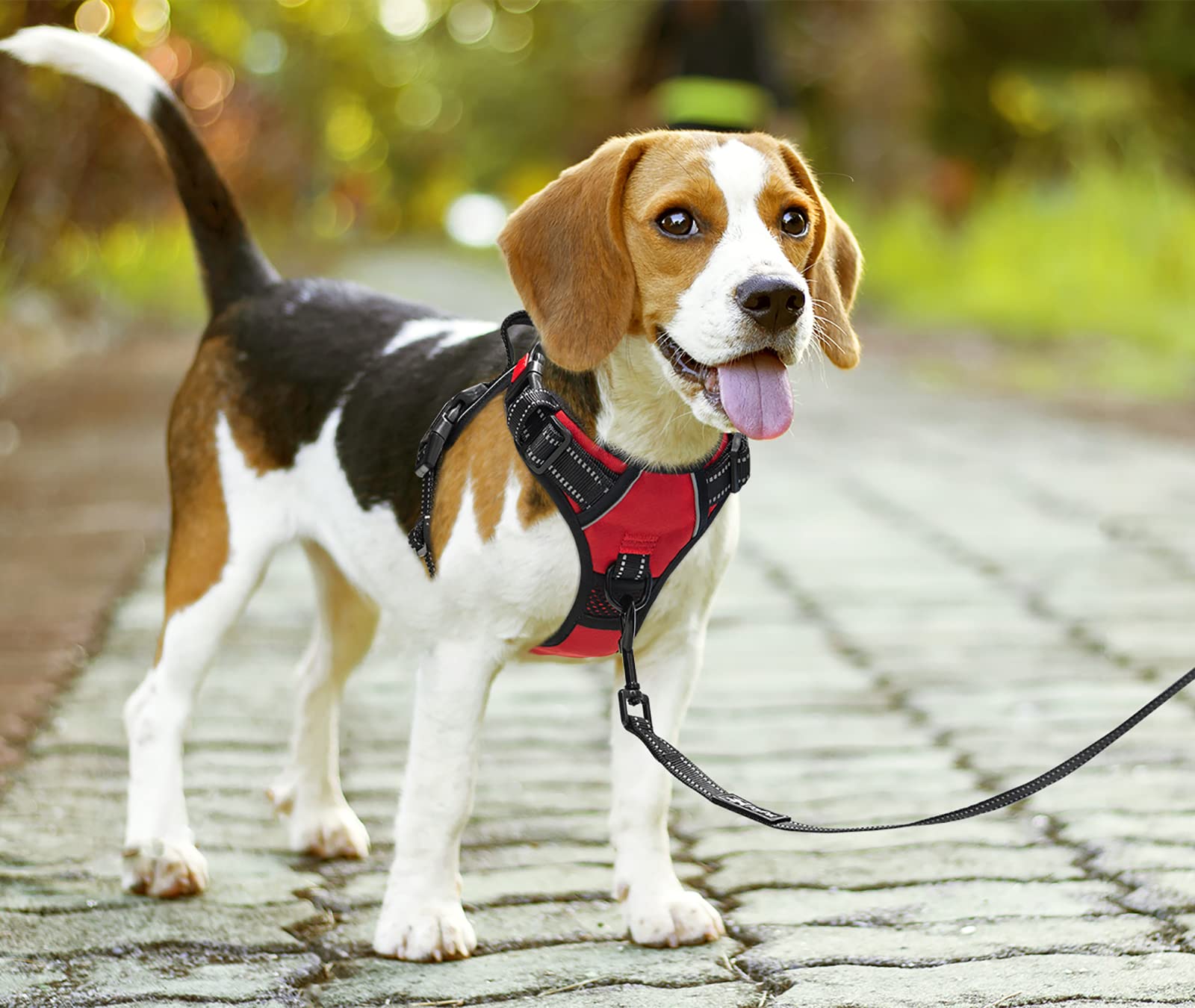 Arnés PoyPet con clip frontal para perros y seguridad nocturna.