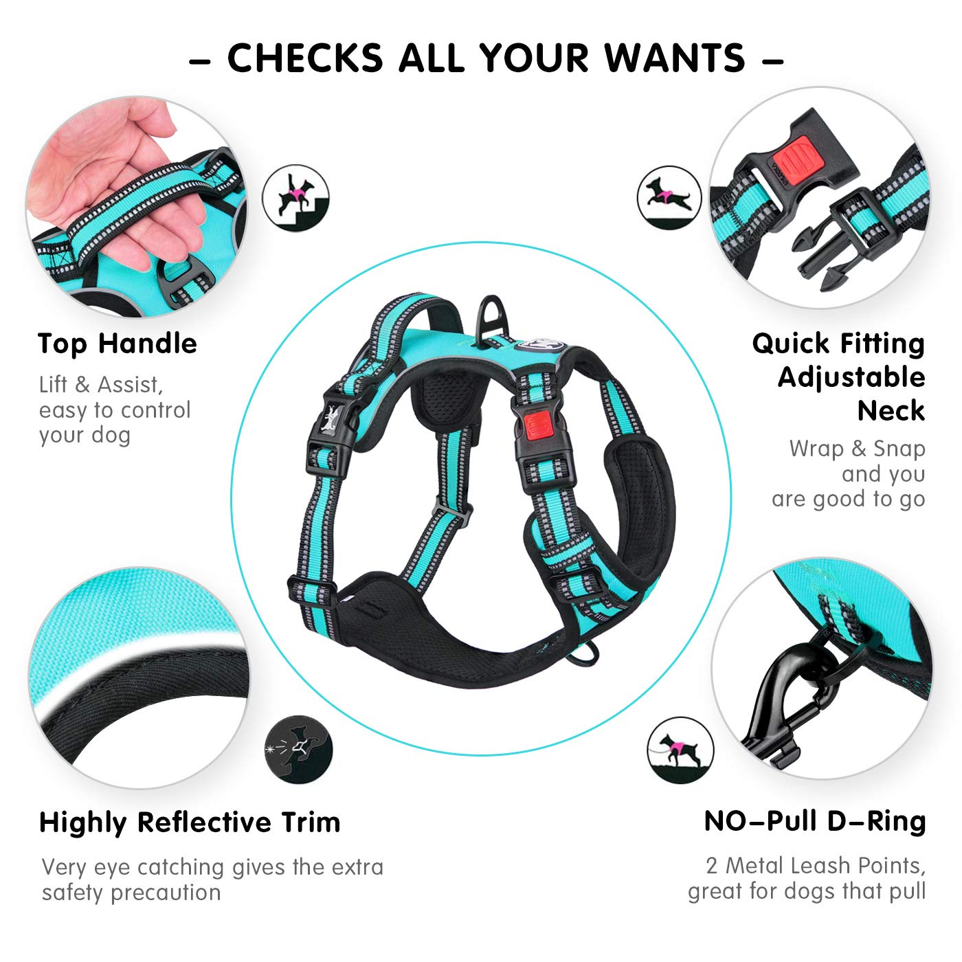 Arnés PoyPet con mango acolchado para control seguro.