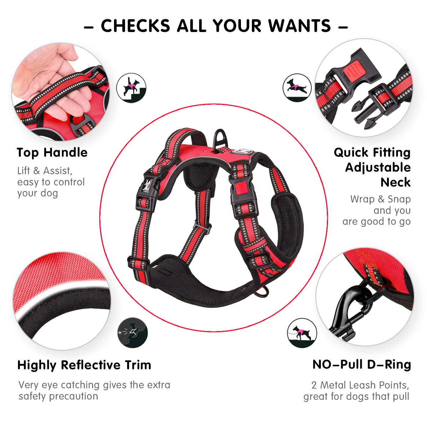 Asa de entrenamiento en la espalda de PoyPet para controlar al perro de forma segura.