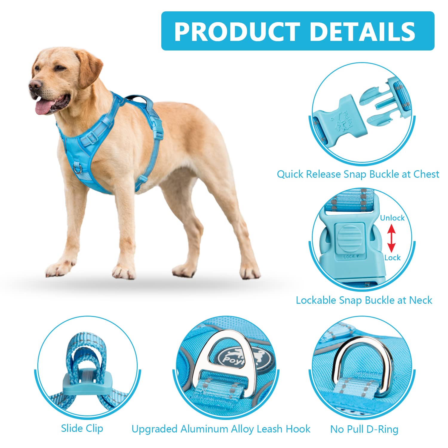 Malla interior transpirable mantiene al perro cómodo todo el día