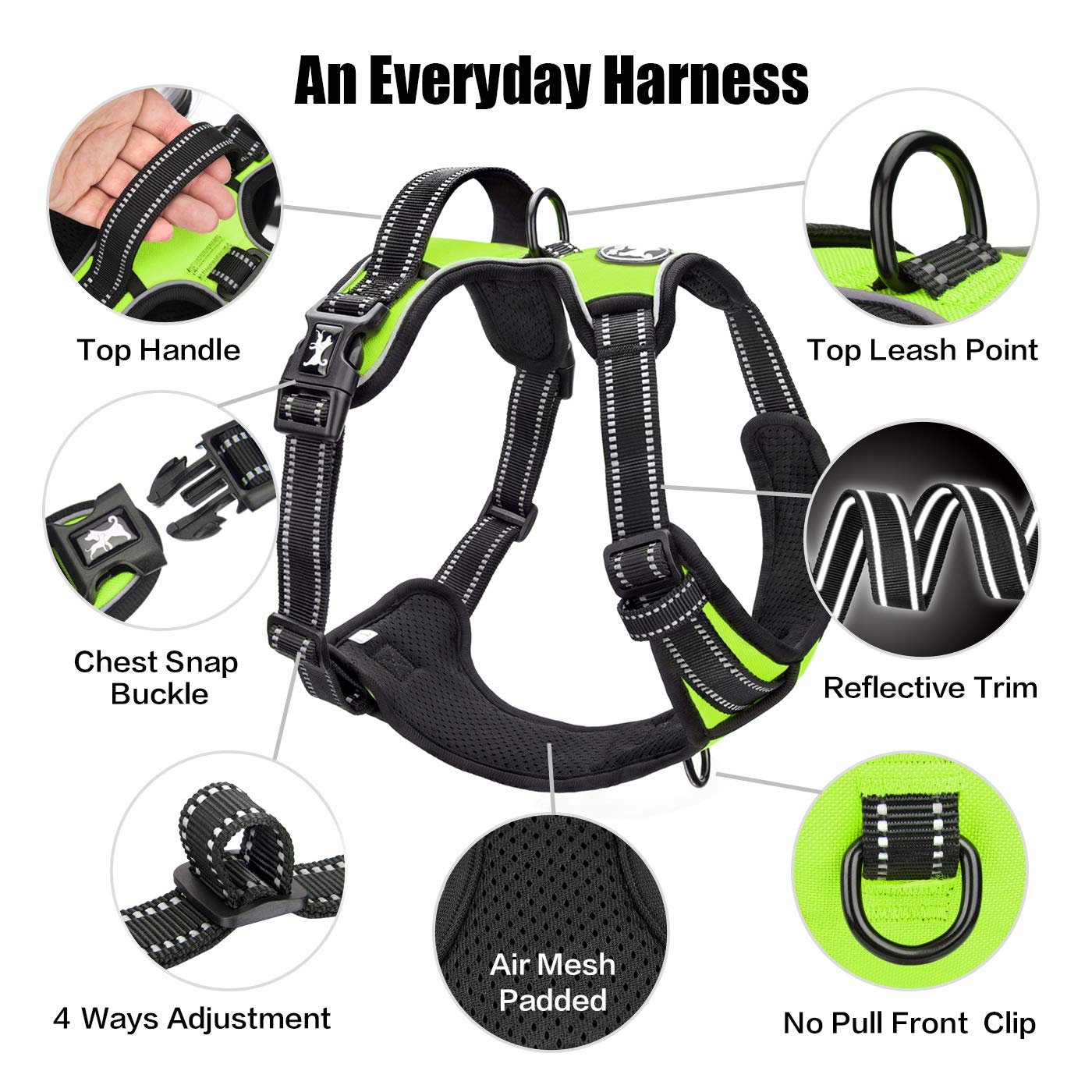 PoyPet uso diario para caminatas, entrenamientos y aventuras al aire libre