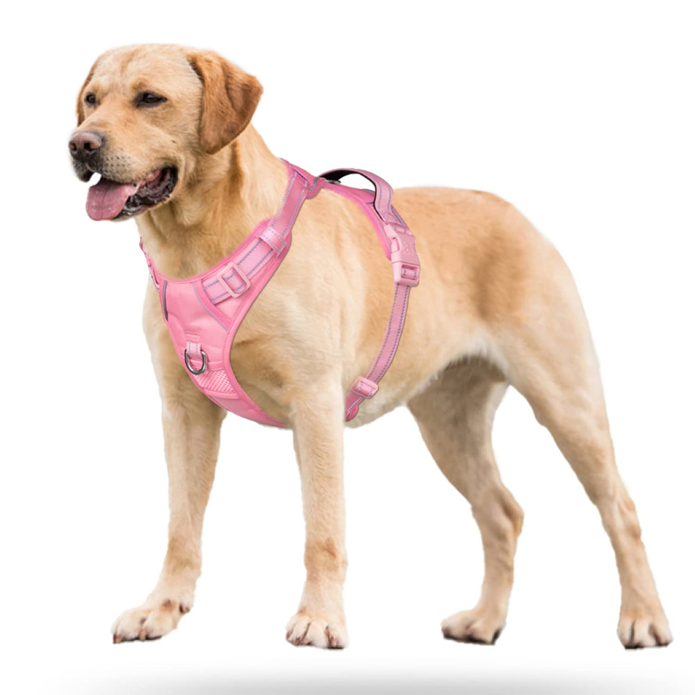Ajustable arnés PoyPet con cuatro correas para ajuste perfecto.