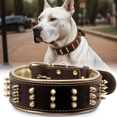 PP COLOR collar de cuero con picos, para perros fuertes y activos.