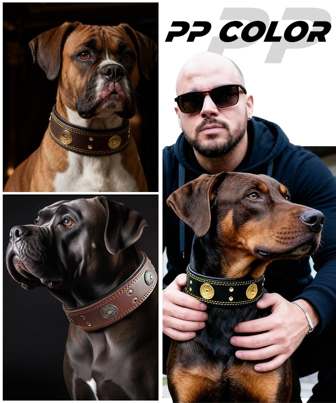 PP COLOR collar-perro-cuero-ajustable-seis-longitudes ofrece ajuste perfecto.