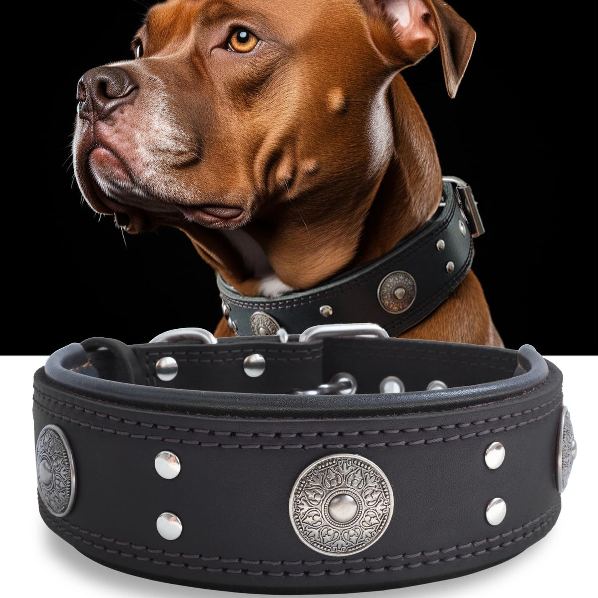 PP COLOR collar-perro-cuero-dos-pulgadas para paseos cómodos.