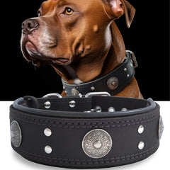 PP COLOR collar-perro-cuero-dos-pulgadas para paseos cómodos.