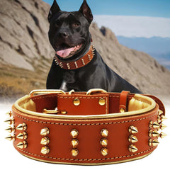 Collar PP COLOR de cuero con espigas y 2.2 pulgadas para protección y estilo.