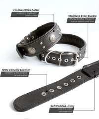 PP COLOR collar-perro-cuero-forro-suave ofrece confort diario.