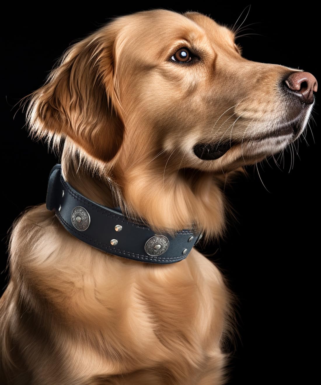 PP COLOR collar-perro-cuero-hebilla-decorativa-tridimensional aporta estilo.