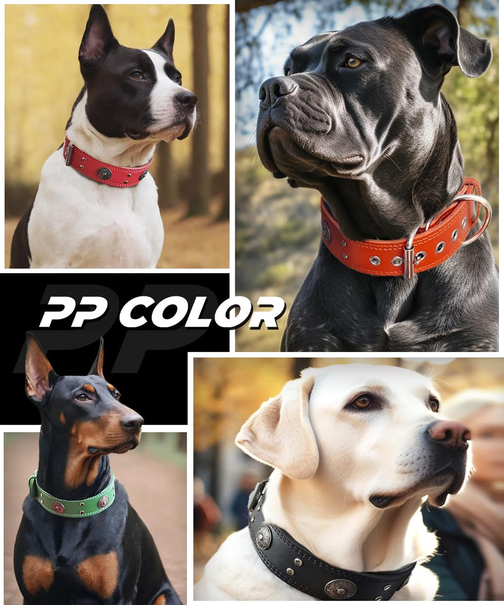 PP COLOR collar-perro-cuero-hecho-manualmente muestra artesanía y calidad.