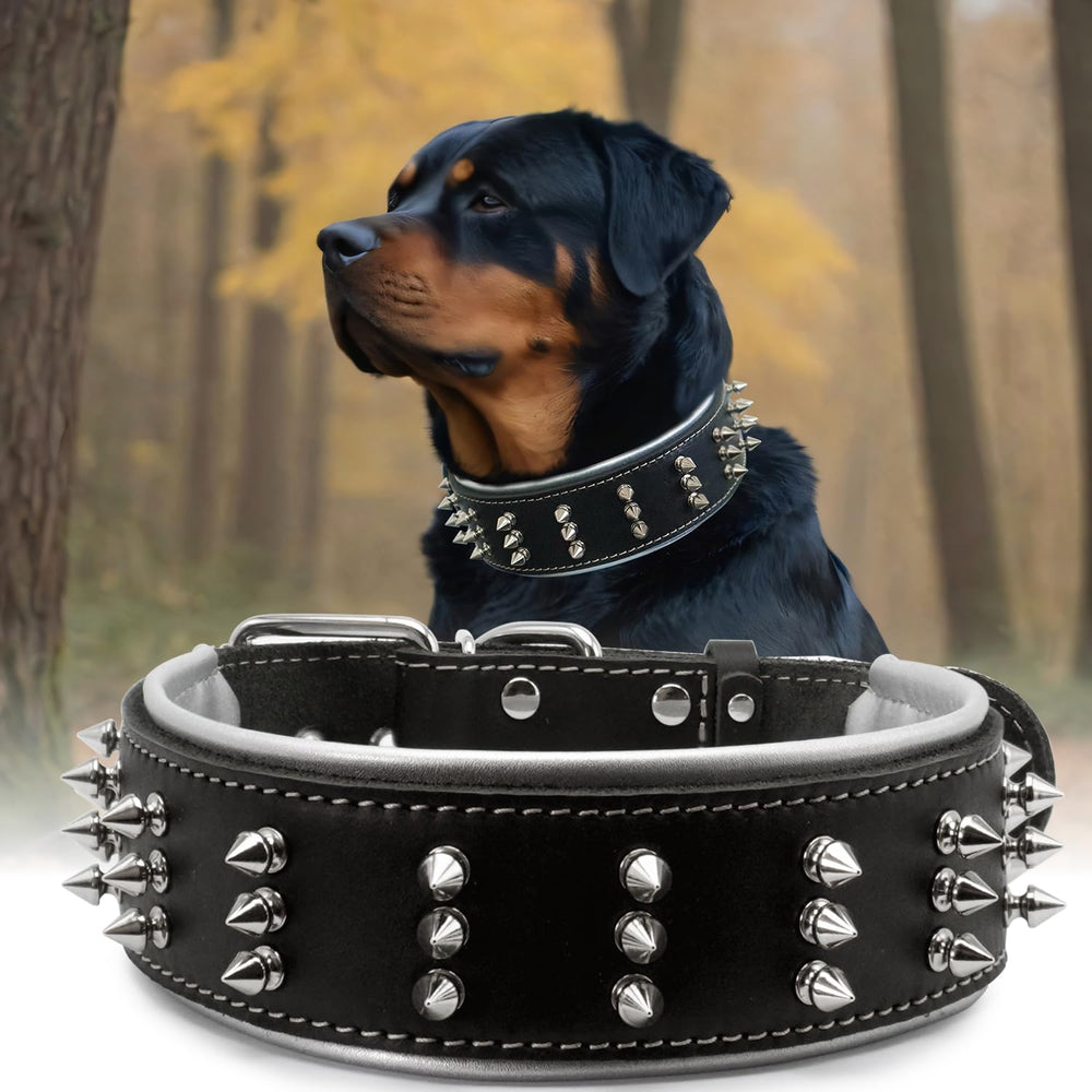 Collar PP COLOR de cuero con espigas, protección con estilo para paseos.