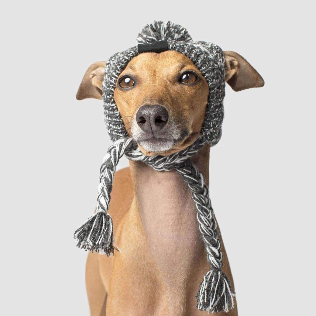 PQIQP boina para perro con trenza y lazo de ajuste