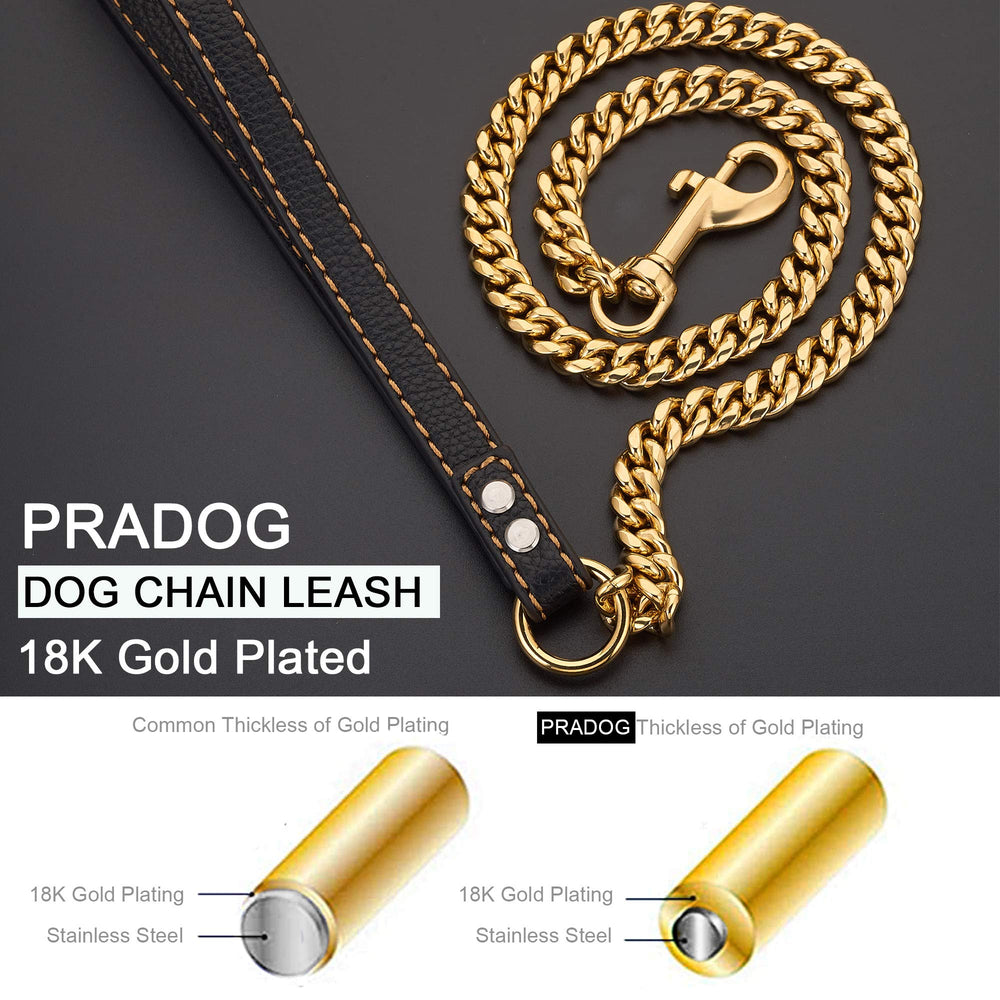 PRADOG perro usando la correa cadena para paseo seguro y cómodo
