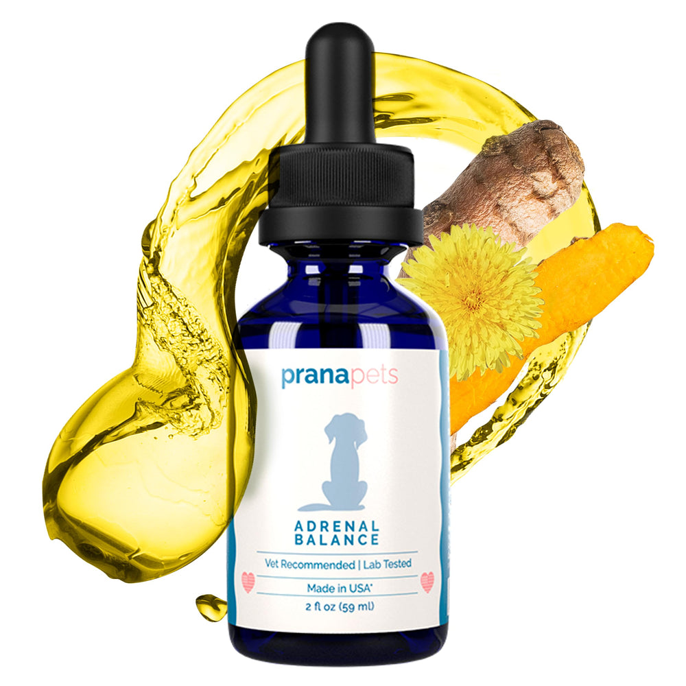 Botella de PranaPets Adrenal Balance: envase práctico para uso diario.