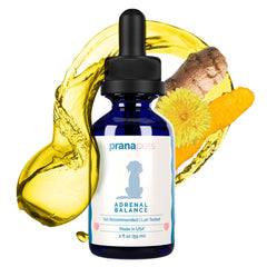 Botella de PranaPets Adrenal Balance: envase práctico para uso diario.