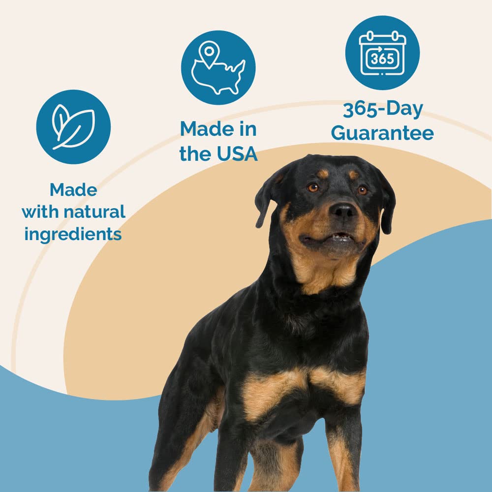 Cuidado canino natural con enfoque suave y práctico.