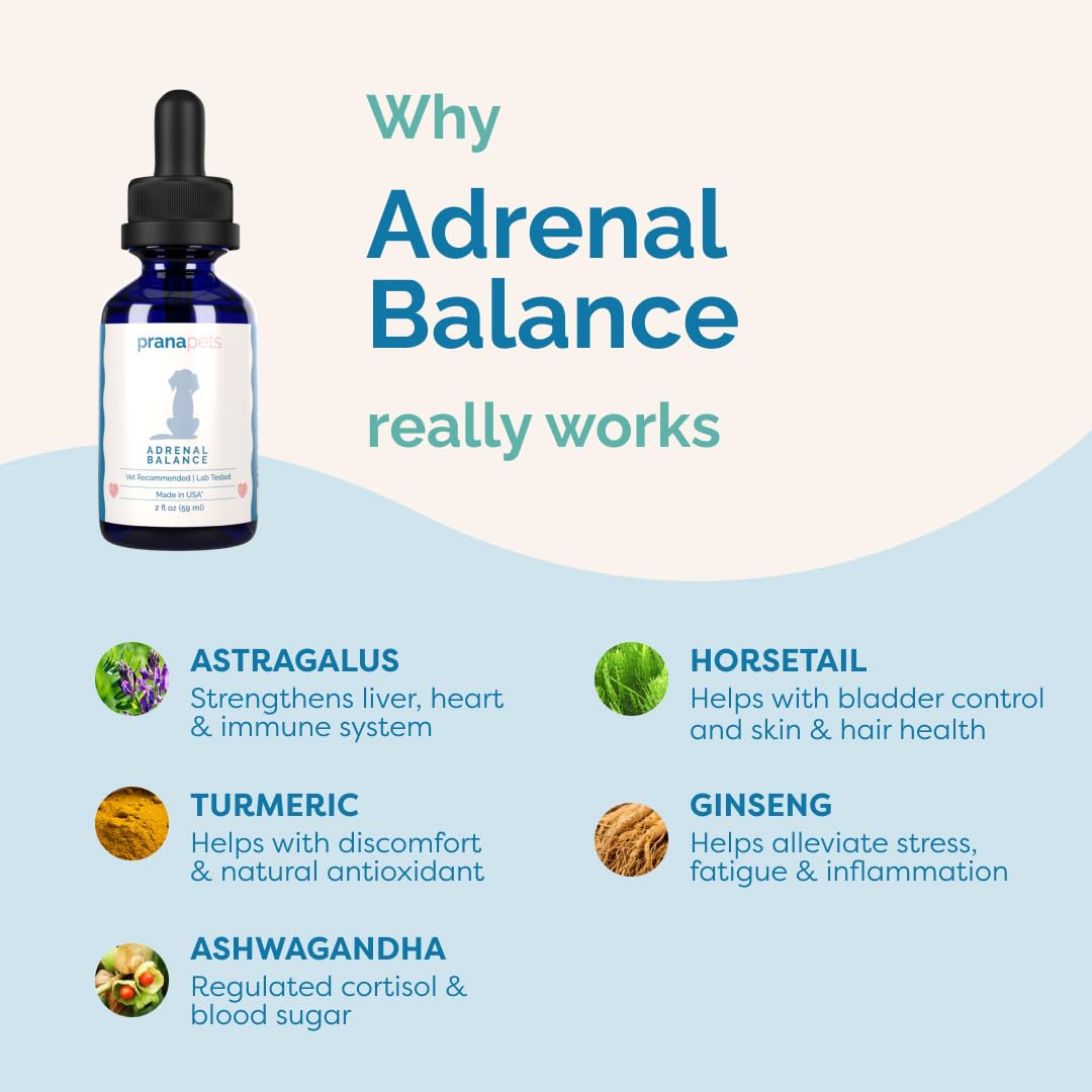 PranaPets Adrenal Balance: más energía para paseos diarios.