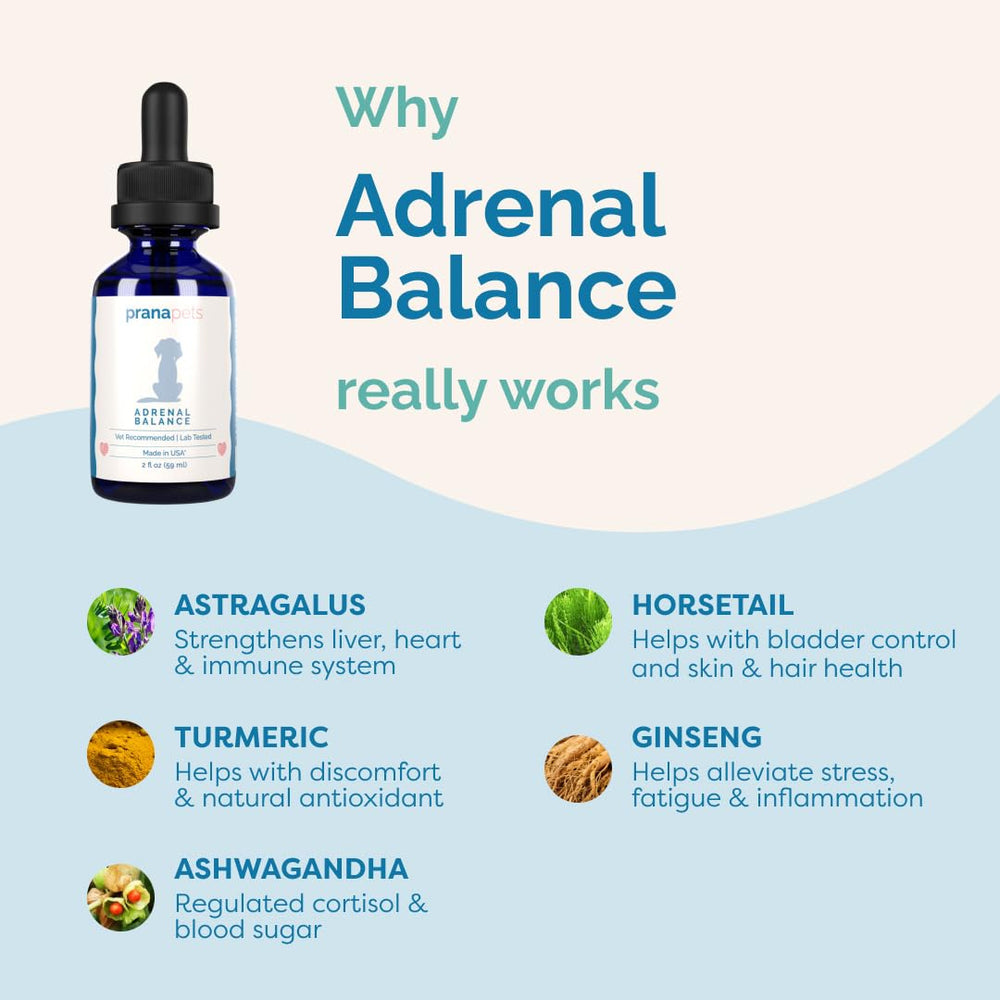 PranaPets Adrenal Balance: más energía para paseos diarios.