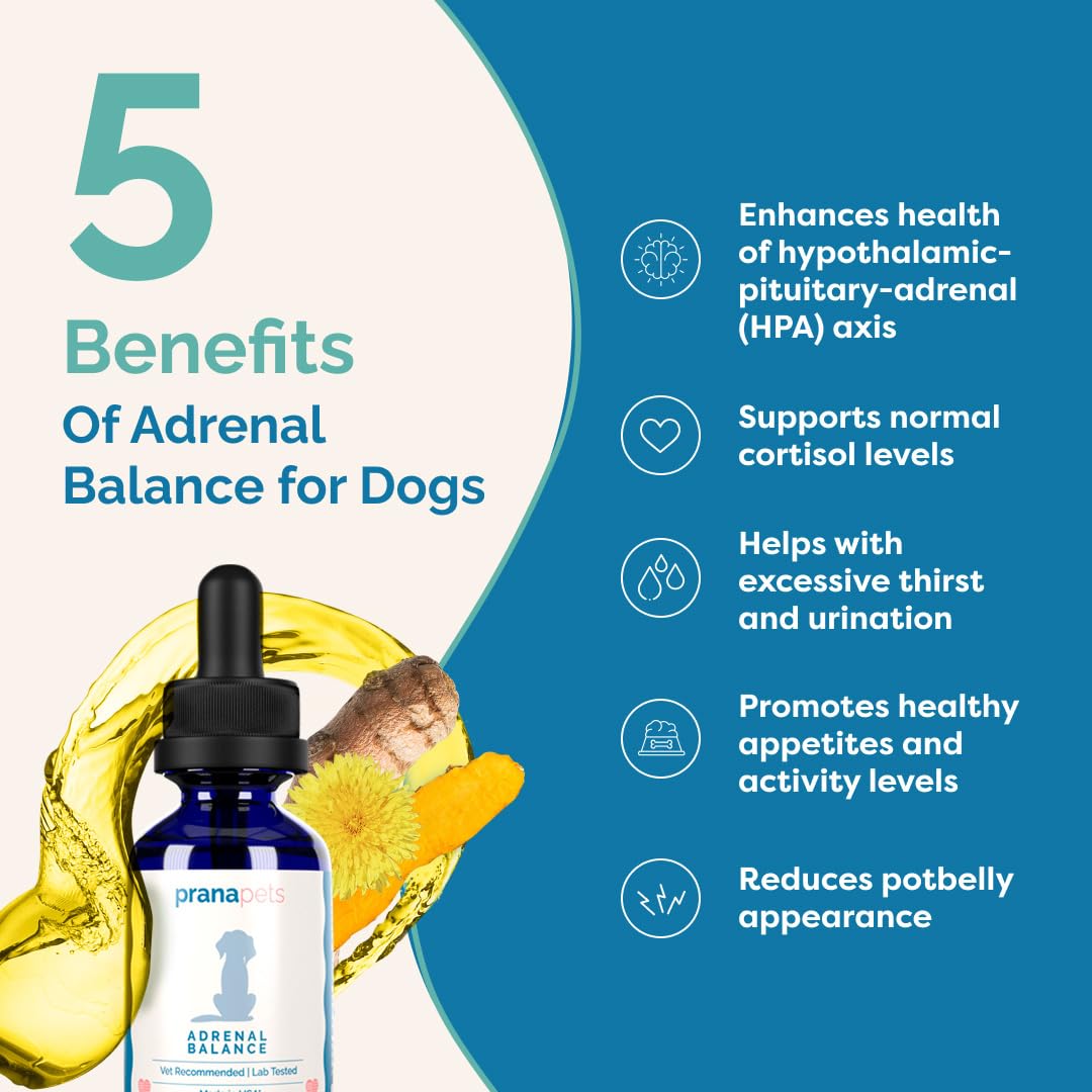 PranaPets Adrenal Balance: pelaje sano y brillo en perro.