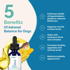 PranaPets Adrenal Balance: pelaje sano y brillo en perro.