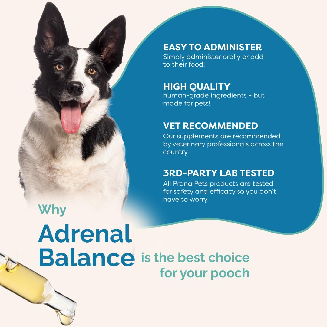 PranaPets Adrenal Balance: sed y micción en rango.