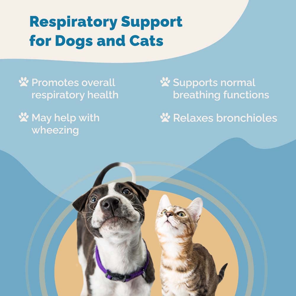 PranaPets Apoyo respiratorio diario para gatos, frasco, uso constante.