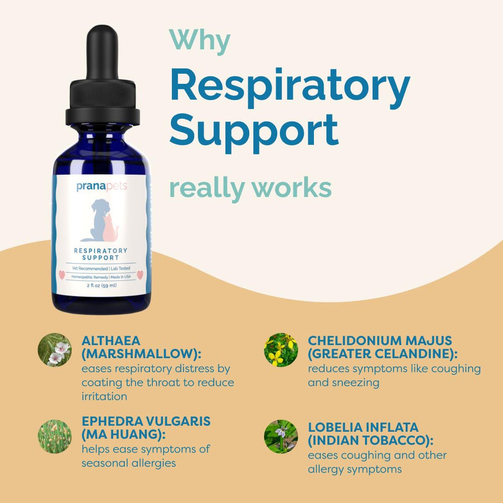 PranaPets gato-usando-suplemento-respiratorio: alivia estornudos ocasionales con uso regular.