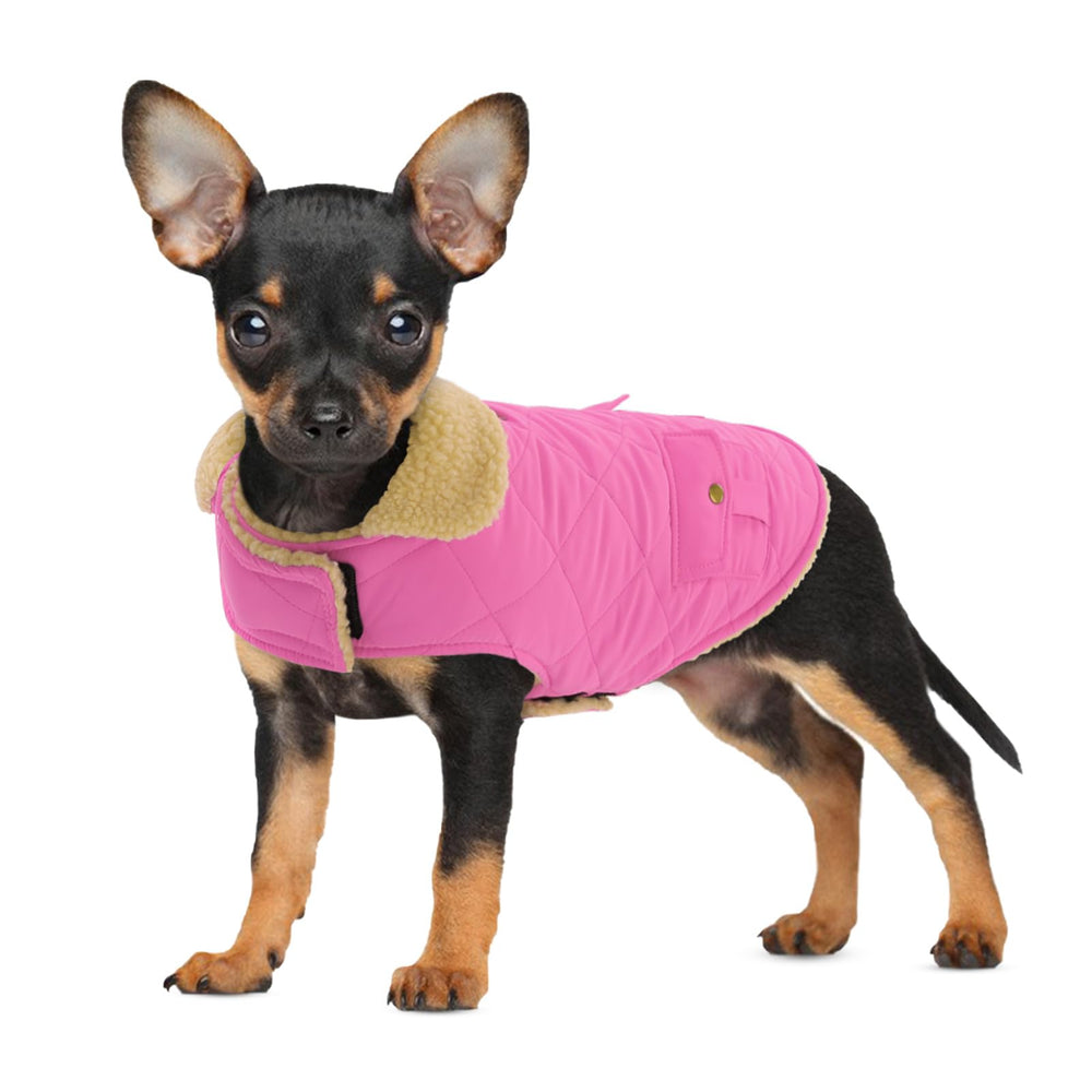 Preferhouse abrigo invernal para perro mediano, vista frontal, mantiene calor cómodo