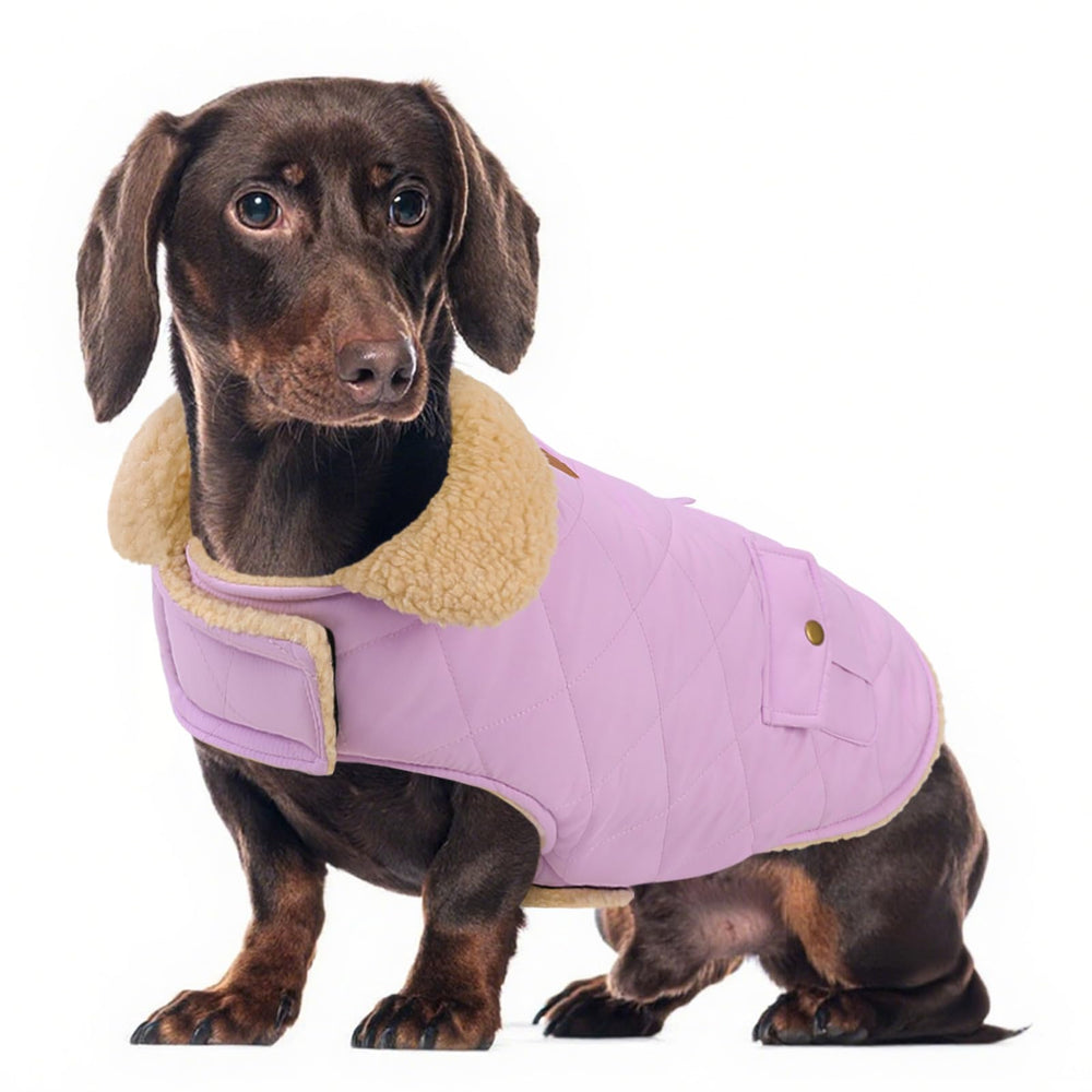 Preferhouse abrigo perro mediano lilac M, vista frontal para paseos cálidos en días fríos.