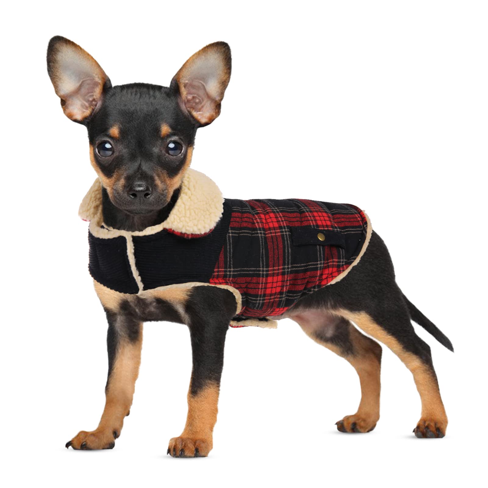 Preferhouse abrigo invierno para perros pequeños frente, cálido y cómodo