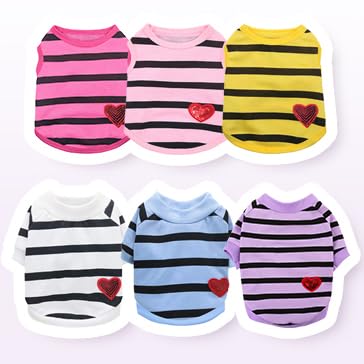Regalo ideal para dueños de perros con la camiseta Preferhouse.