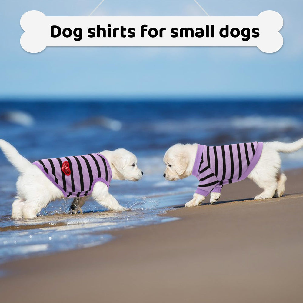 Tallas XS a XL en la camiseta para perro Preferhouse, ajuste variado.