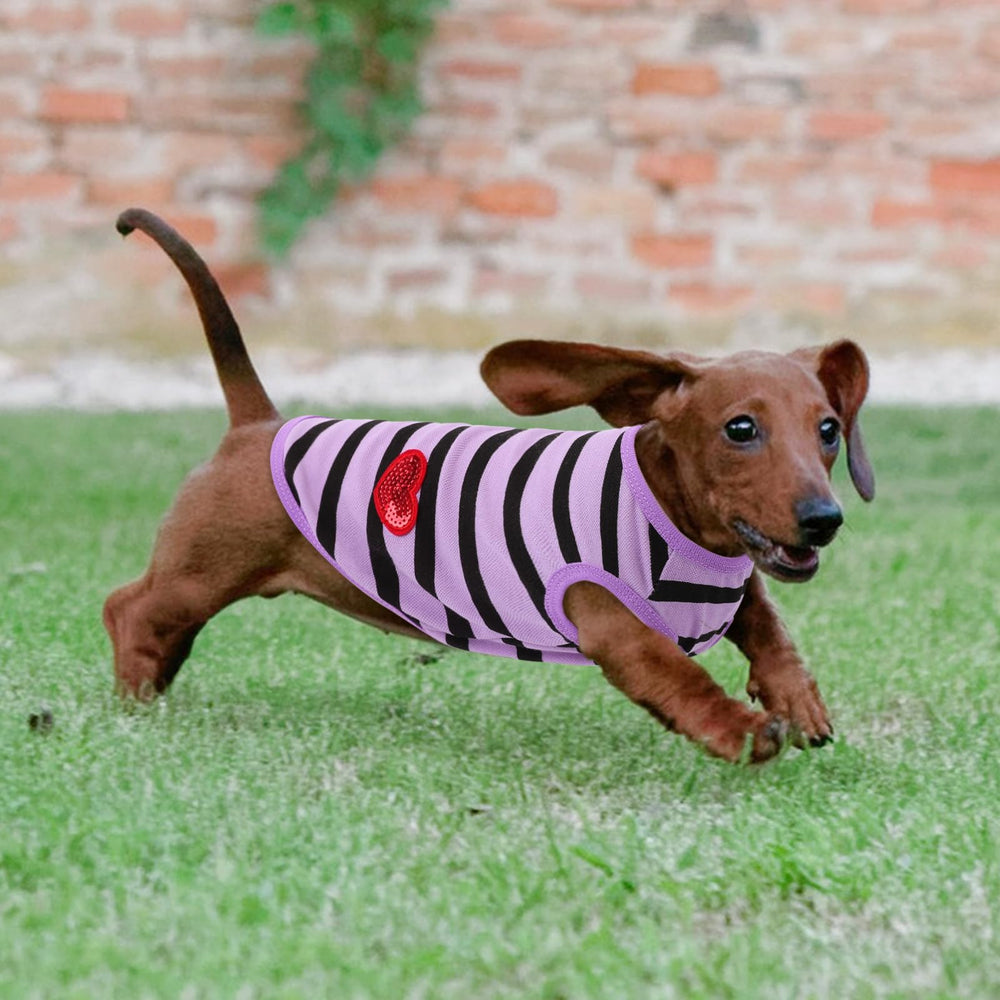 Uso para paseo o fiesta con la camiseta rayada Preferhouse.