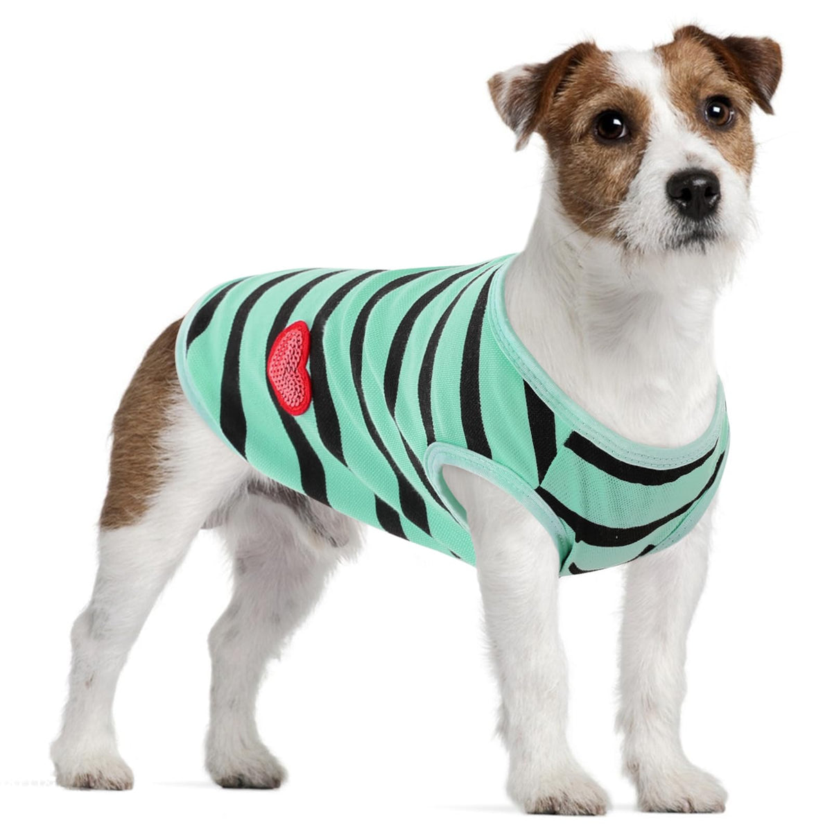 Camiseta Preferhouse para perro grande, frontal; look de rayas ideal para paseos diarios.