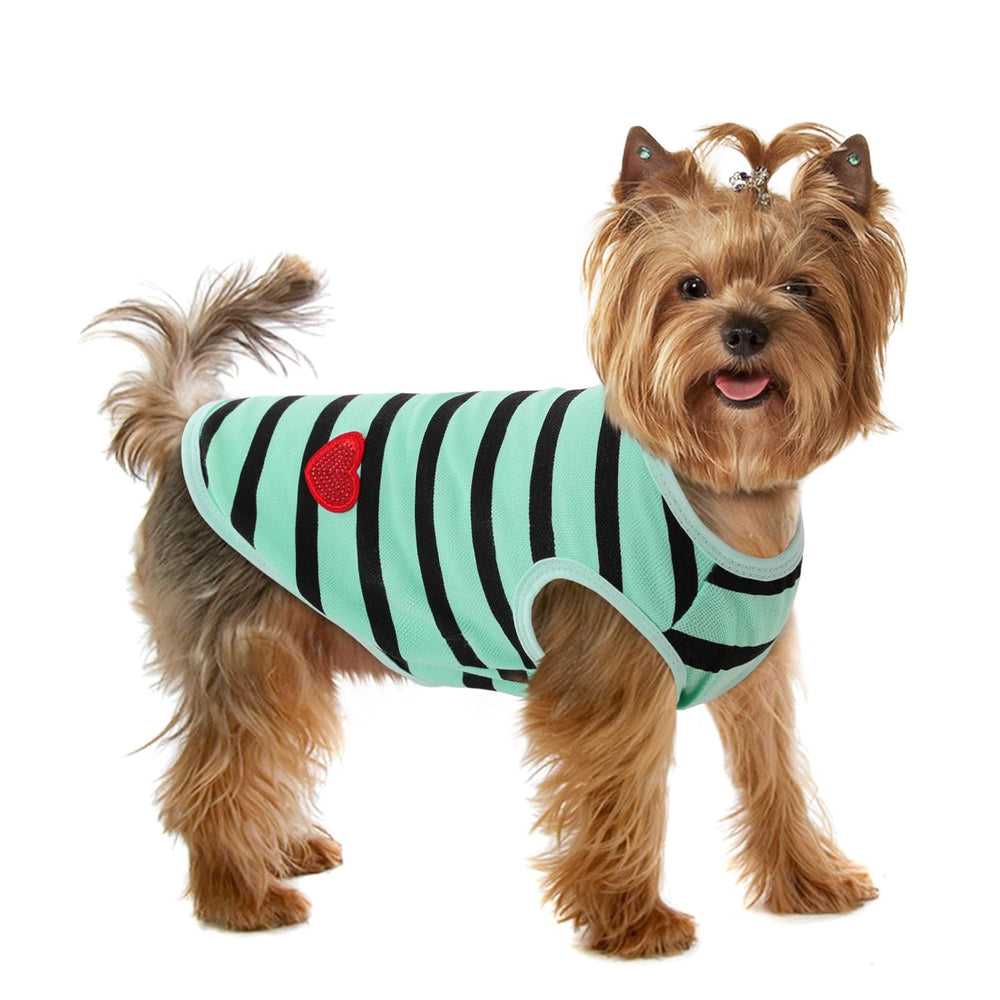 Preferhouse camiseta para perro rayas, vista frontal, cómoda para paseos.