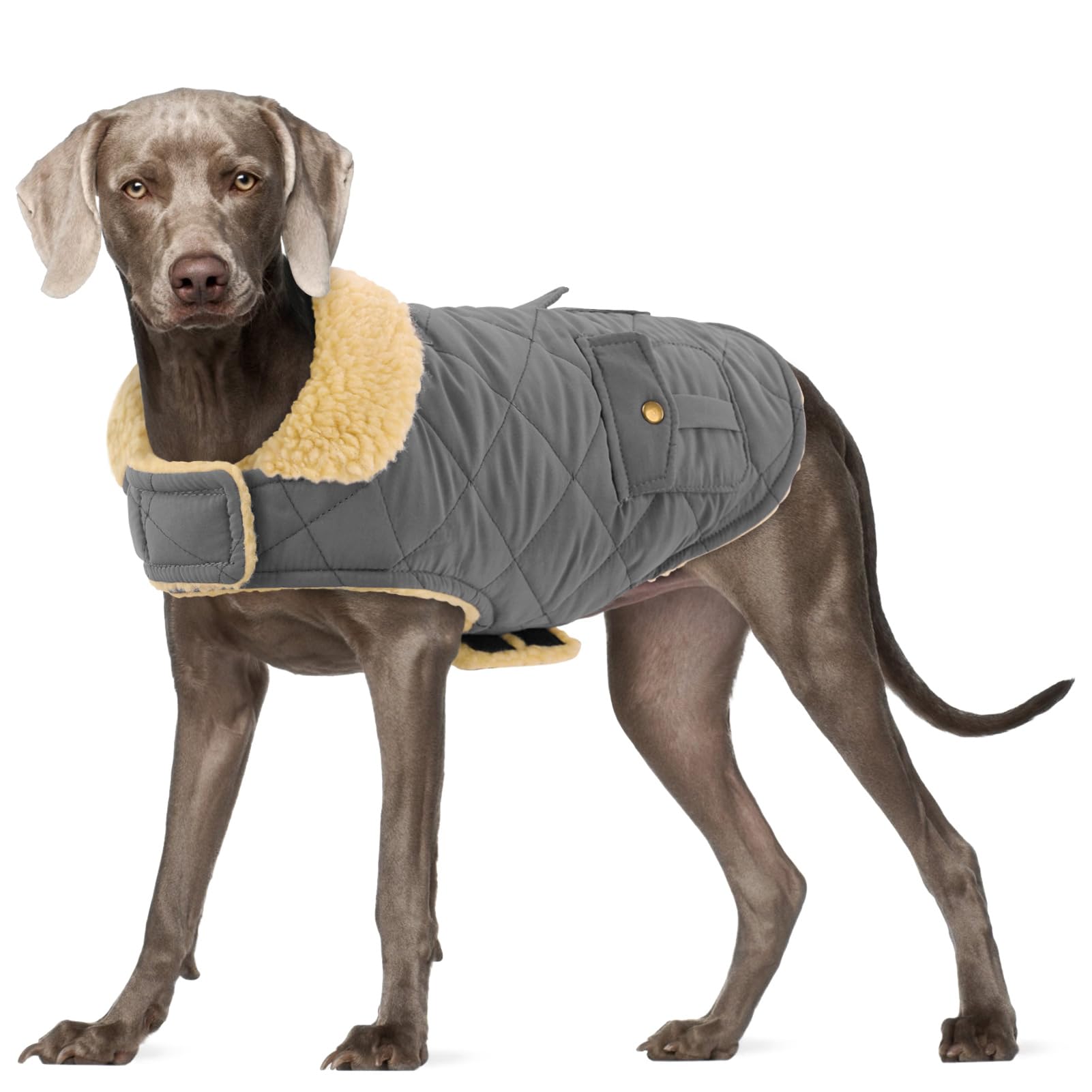Preferhouse capa para perro grande con calor de invierno, ideal para paseos al aire libre.