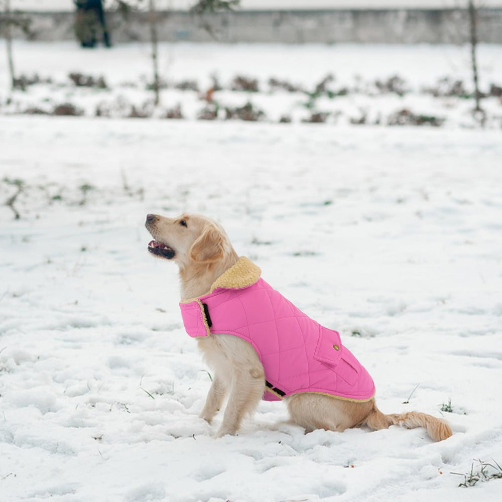 Preferhouse capa para perro grande - diseño a cuadros negro y rosa, estilo clásico.