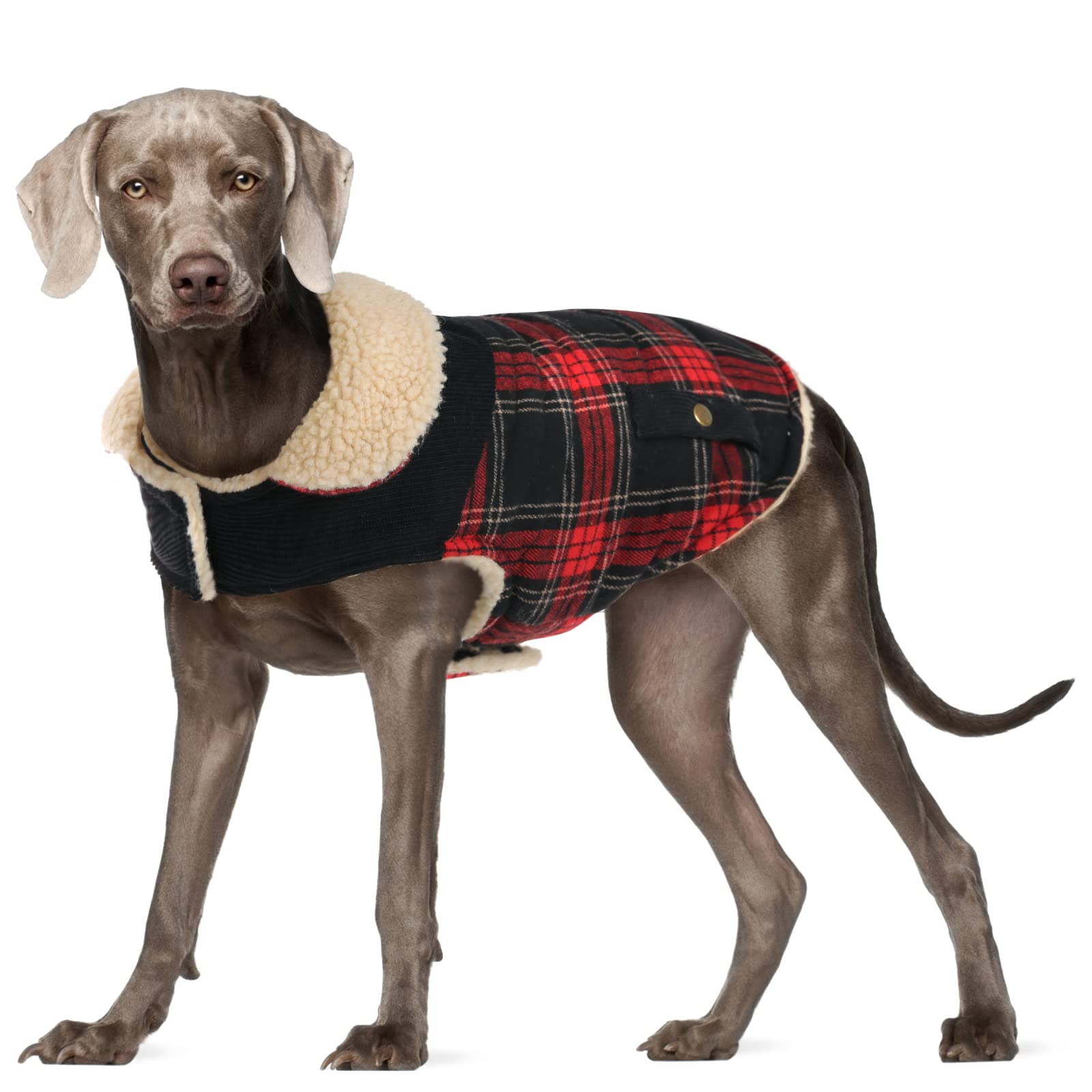 Frente de la capa Preferhouse para perro, ajuste cómodo para paseos diarios.
