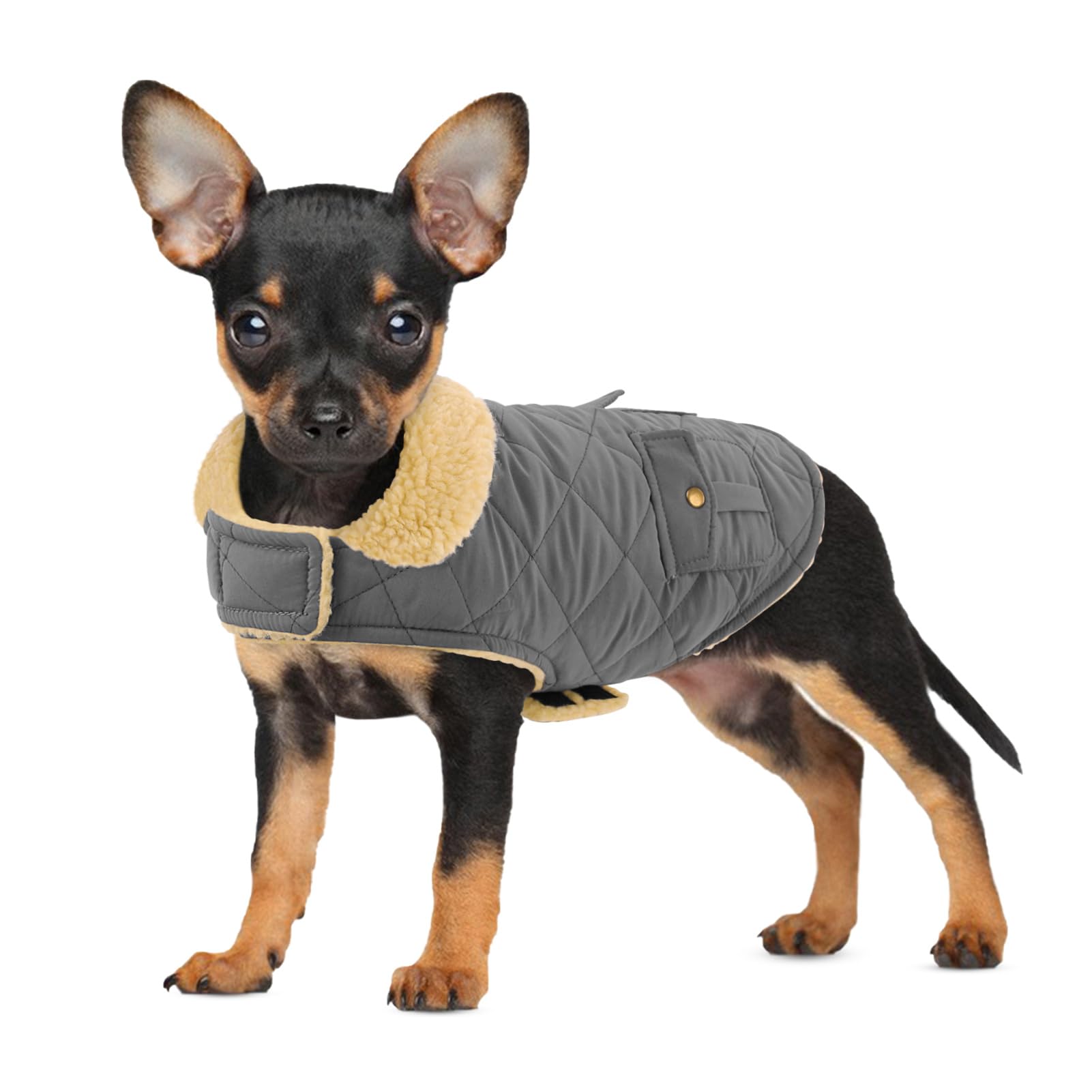 Preferhouse capa para perros, vista frontal, mantiene calor en paseos fríos