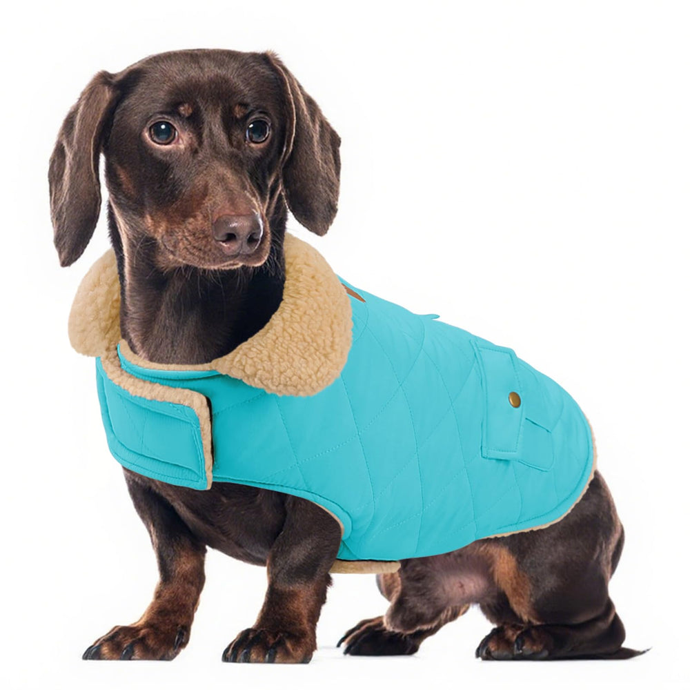 Chamarra de invierno Preferhouse para perro mediano en azul, cálida y cómoda para paseos.