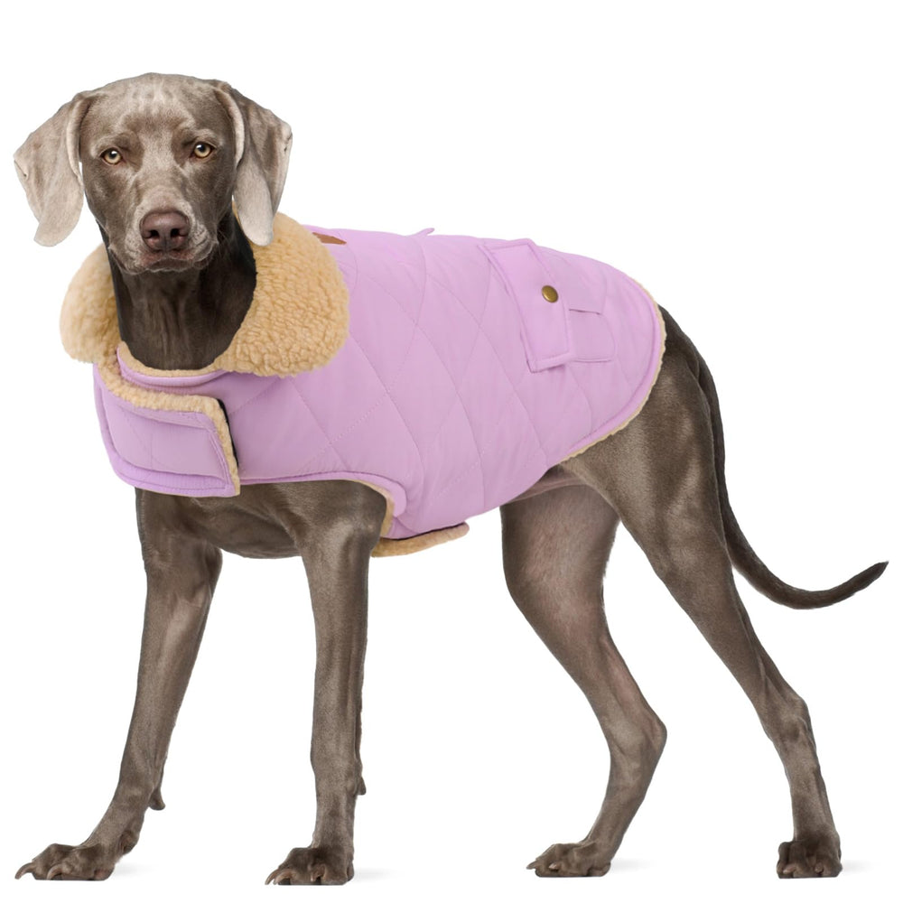 Preferhouse chaqueta invierno para perro extragrande, vista frontal, abrigo cálido.